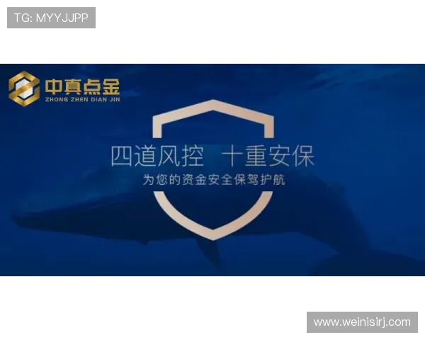 维多利亚旗舰厅官方地址：确保安全性与隐私保护的关键