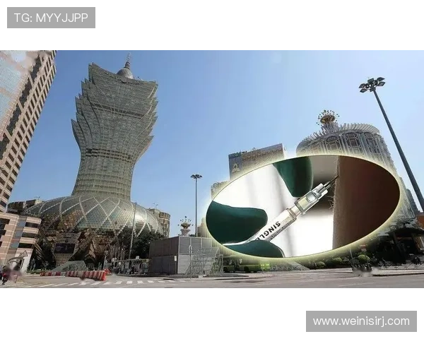 新濠博亚娱乐：优质服务与创新技术结合提升客户满意度