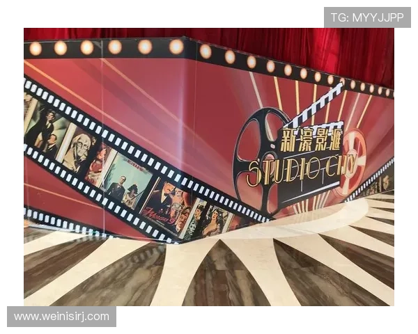 新濠影汇官网studiocity用户常见问题解答与客服支持服务全攻略