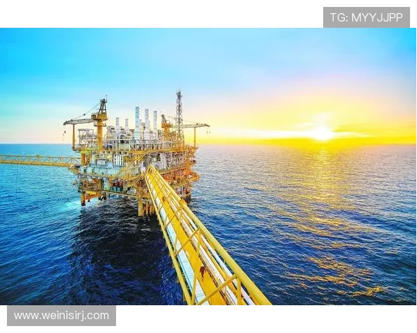 澳门博彩娱乐有限公司在行业中的竞争优势与创新发展路径分析