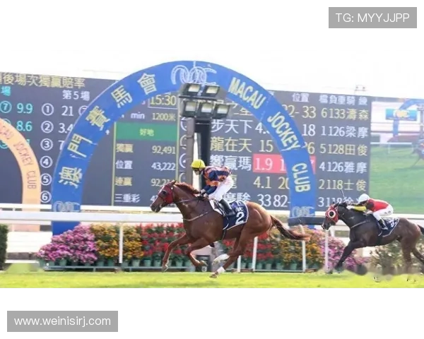 澳门赛马的规则与比赛流程详解让新手也能轻松理解